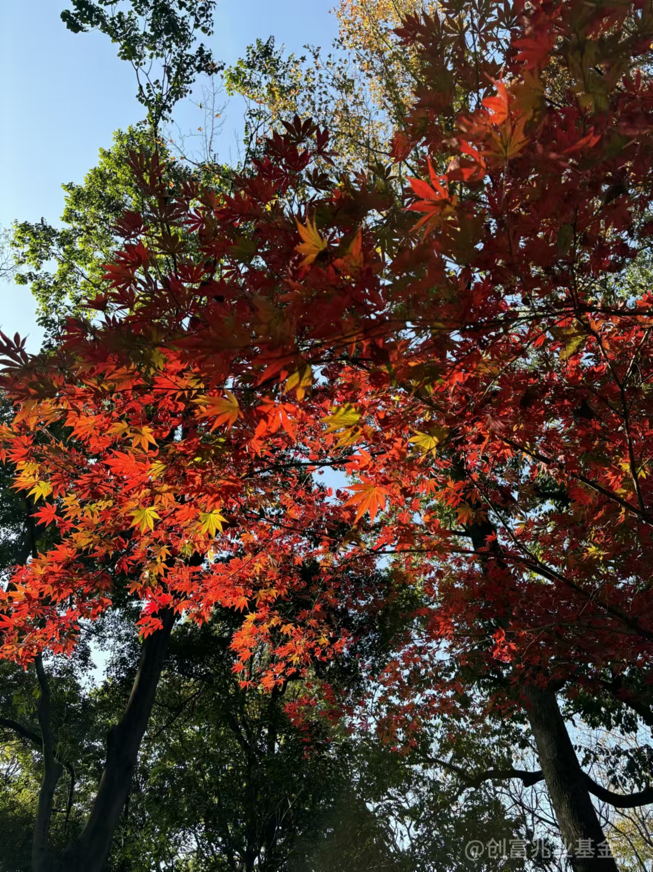 微信图片_20241218140607.jpg 微信图片_20241218140607.jpg