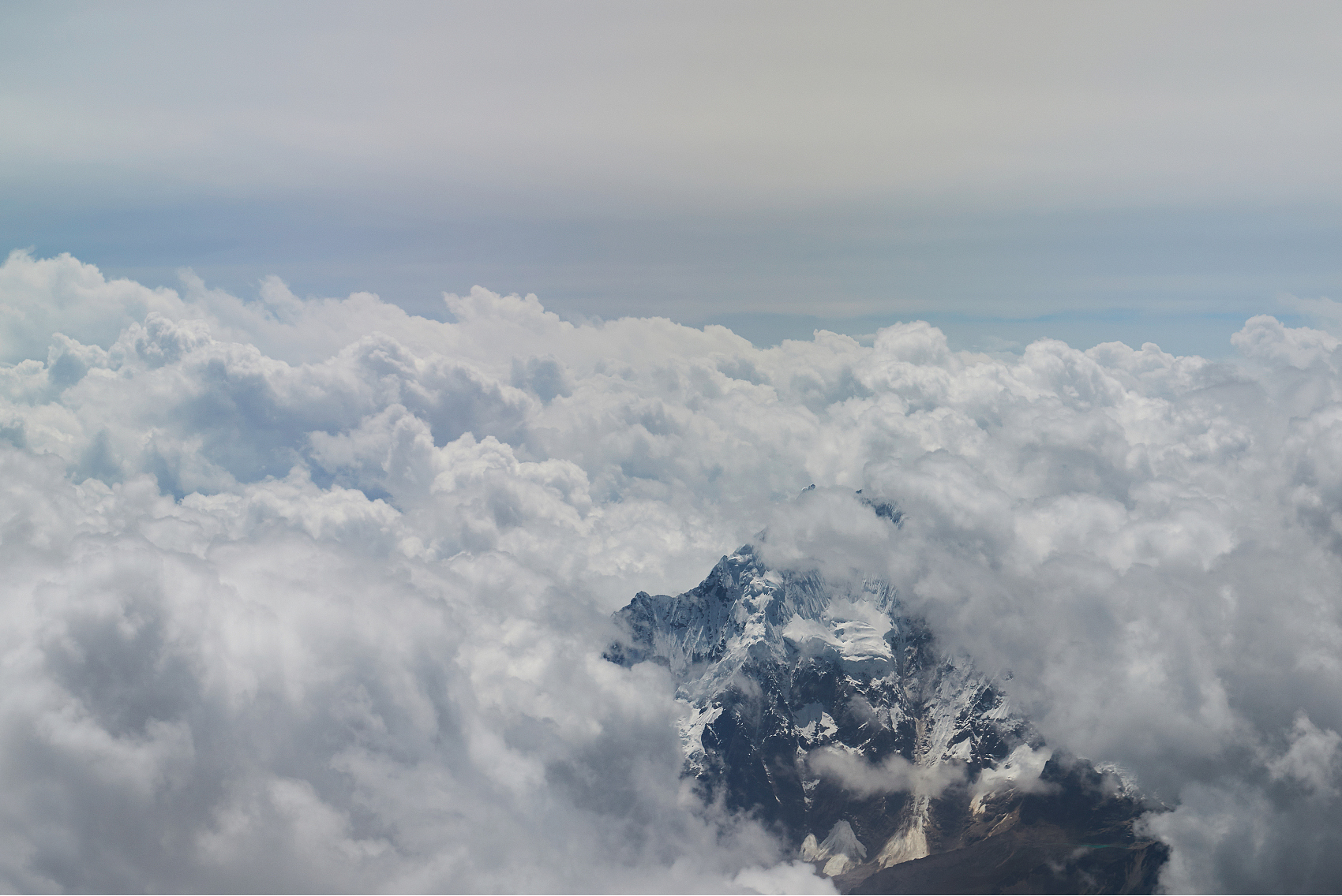 【果实观点 | 2026年1月】市场走强逻辑仍在，中国资产或将继续修复