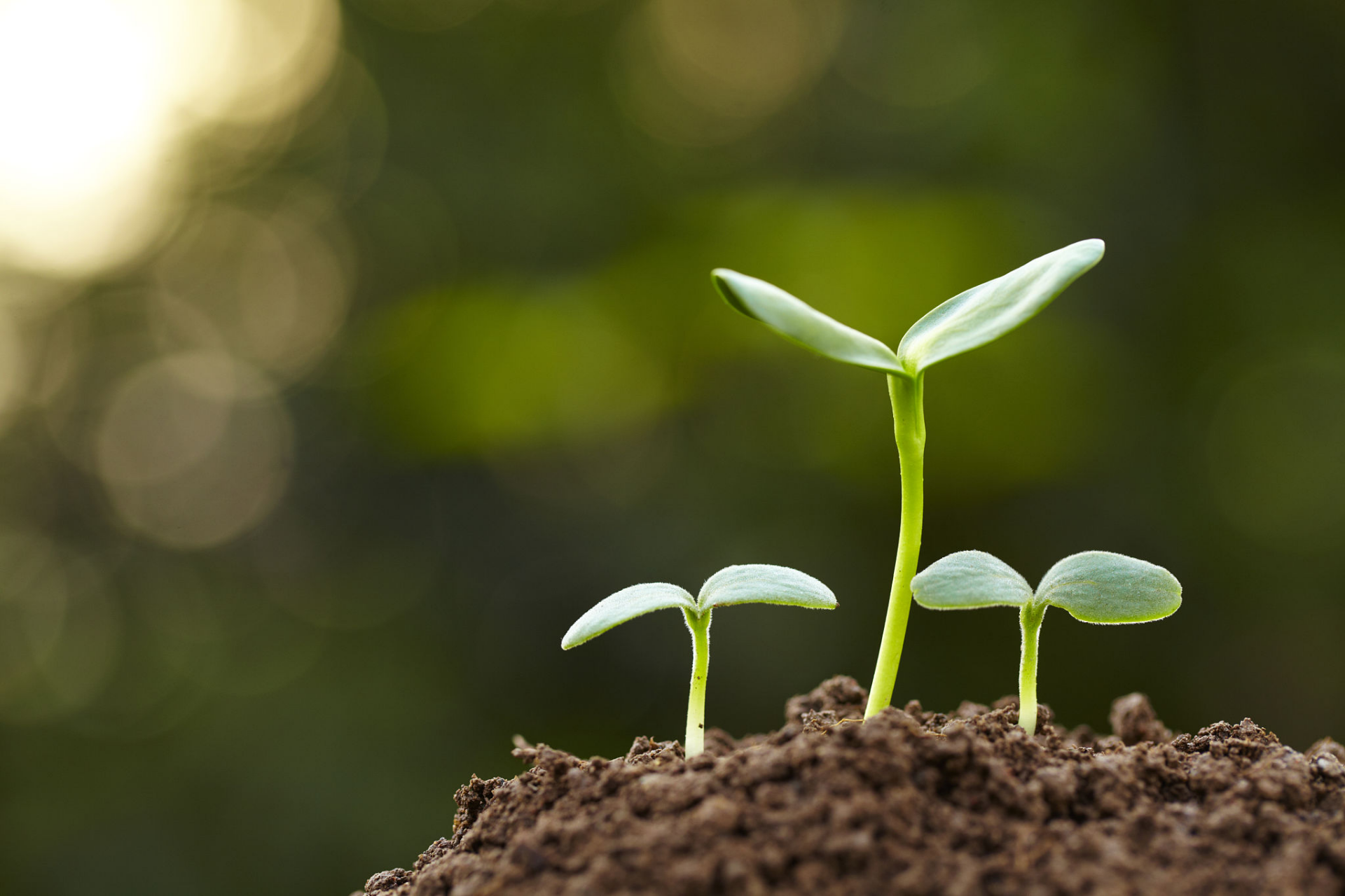 【果实观点 | 2026年3月】美伊冲突主导全球变局，把握中国制造业优势主线